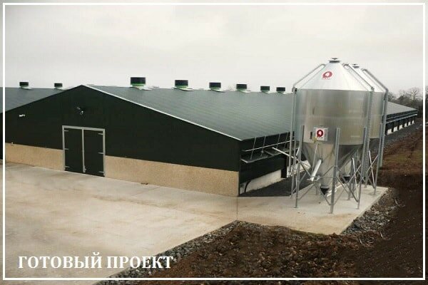 Этапы возведения птицефабрики от завода ВелесТент-нжк